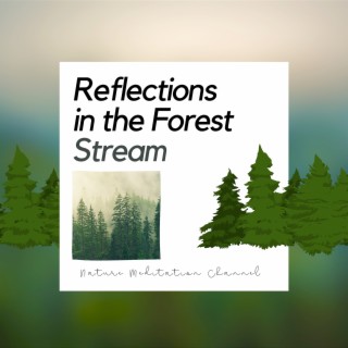 Reflections in the Forest Stream