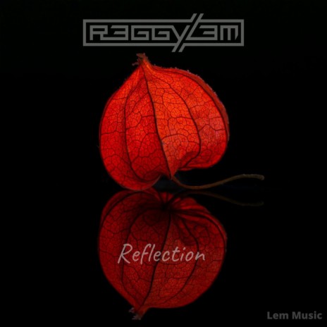 Reflection | Boomplay Music