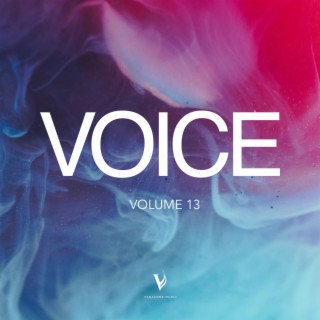 Voice, Vol. 13