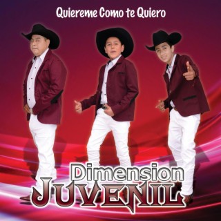 Quiereme Como Te Quiero (Trio Dimensión Juvenil)