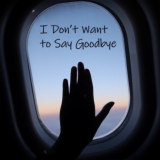 I Don't Want To Say Goodbye