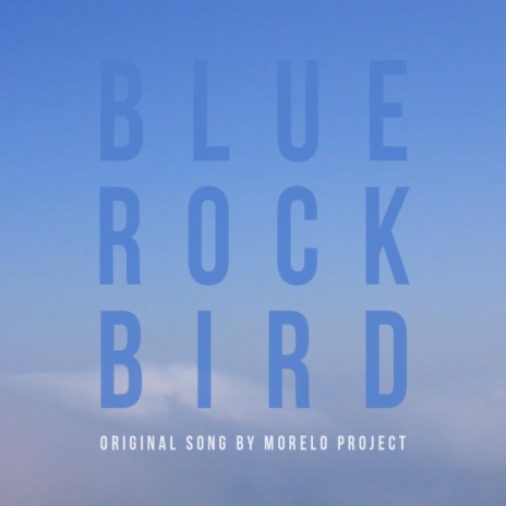 Blue Rock Bird