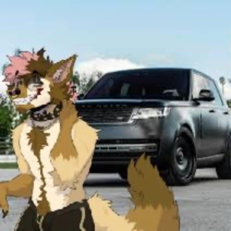 i got hit by a range rover in fursuit