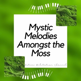 Mystic Melodies Amongst the Moss