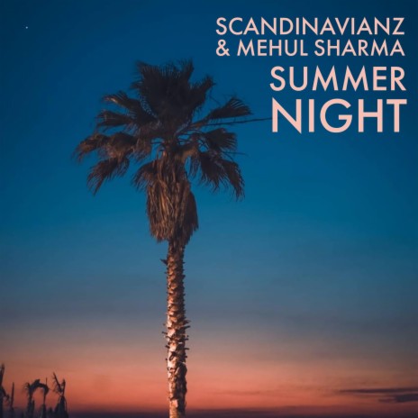 Summer Night ft. Mehul Sharma | Boomplay Music