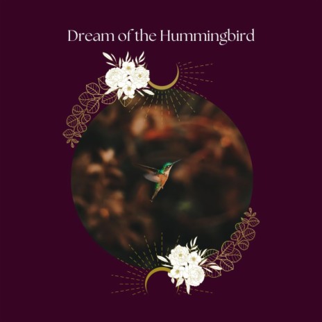 Dream of the Hummingbird