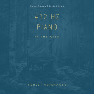 432 Hz Piano in the Wild: Forest Serenades
