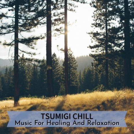 Sounds to Calm Down | Boomplay Music