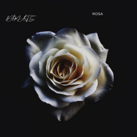 Rosa | Boomplay Music