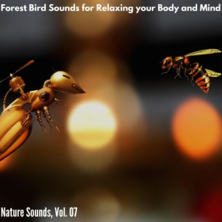 Forest Bird Sounds for Relaxing your Body and Mind - Nature Sounds, Vol. 07