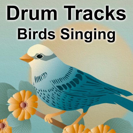 Birds Singing | Boomplay Music