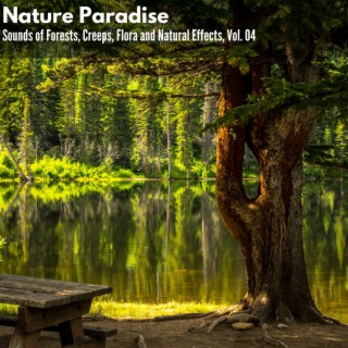 Nature Paradise - Sounds of Forests, Creeps, Flora and Natural Effects, Vol. 04
