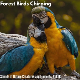 Forest Birds Chirping - Sounds of Nature Creatures and Elements, Vol. 05