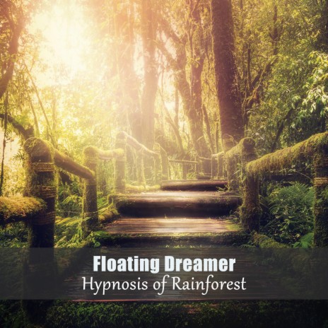 Hypnosis of Rainforest