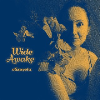 Wide Awake lyrics | Boomplay Music