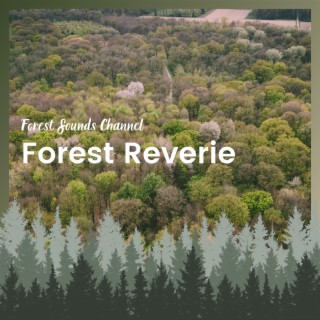Forest Reverie: Singing Birds