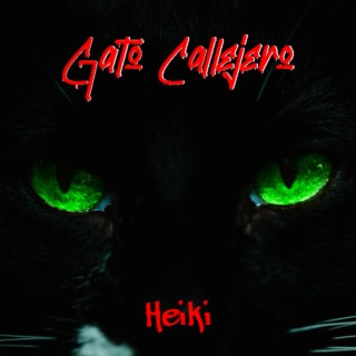 Gato Callejero