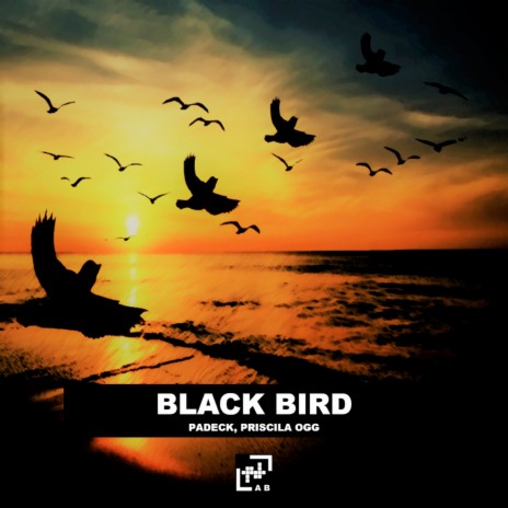 Black Bird ft. Priscila Ogg | Boomplay Music