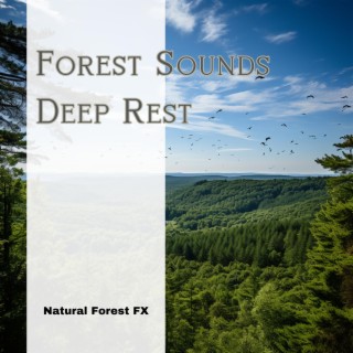 Forest Sounds: Deep Rest