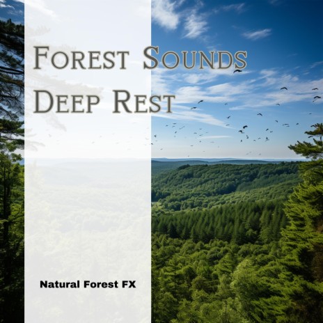 Forest Retreat ft. Forest Sounds