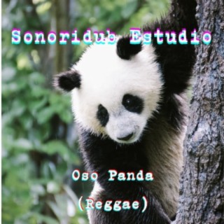 Sonoridub