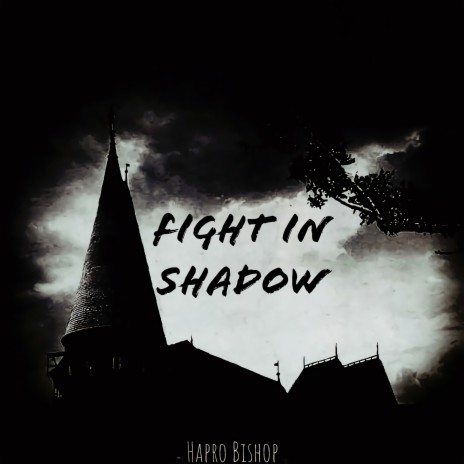 Fight in Shadow