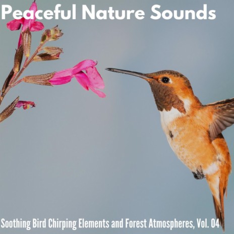 Relaxing Bird Songs | Boomplay Music