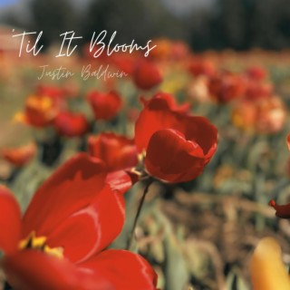 'Til It Blooms