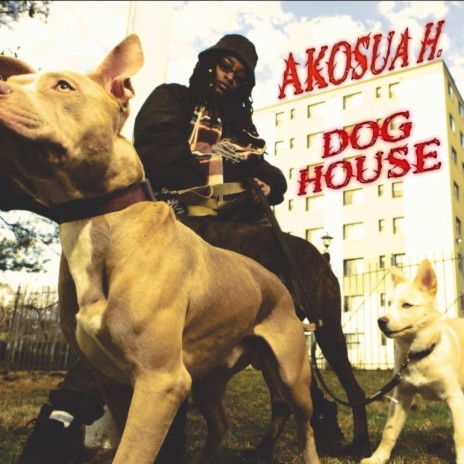 Dog House (Clean Version) | Boomplay Music