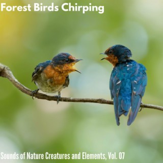 Forest Birds Chirping - Sounds of Nature Creatures and Elements, Vol. 07