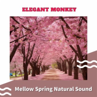 Mellow Spring Natural Sound