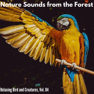 Nature Sounds from the Forest - Relaxing Bird and Creatures, Vol. 04