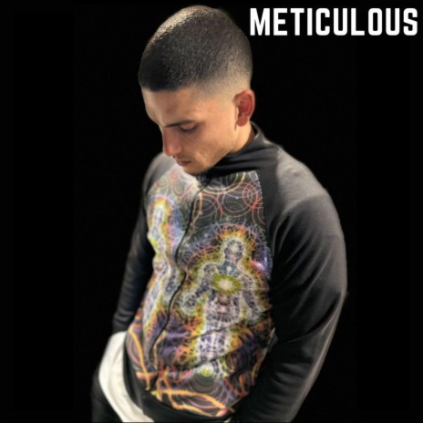 Meticulous | Boomplay Music