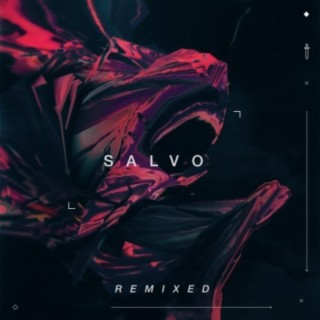 Salvo Remixes