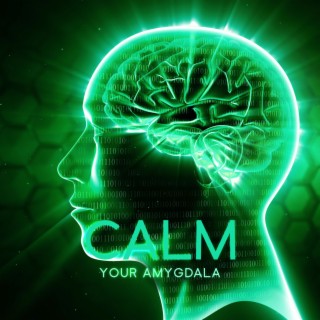 Calm Your Amygdala: Cure Anxiety Panic Attacks Naturally, Brainwave Frequencies, Amygdala Music