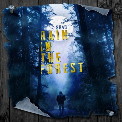 Rain The Forest | Boomplay Music