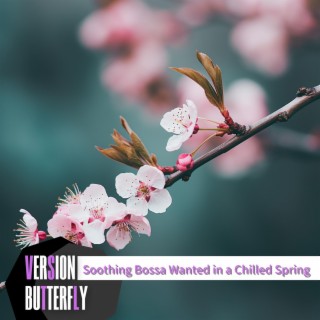 Soothing Bossa Wanted in a Chilled Spring