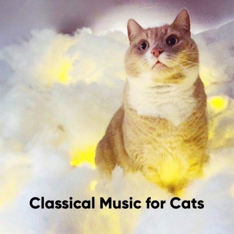 Canon in D Major, P. 37: Pachelbel's Canon - Strings Version | Boomplay Music