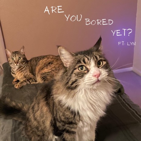 are you bored yet ? ft. Lyn | Boomplay Music