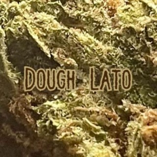 Dough Lato
