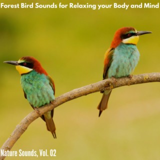 Forest Bird Sounds for Relaxing your Body and Mind - Nature Sounds, Vol. 02