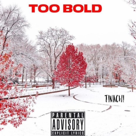 Too Bold | Boomplay Music