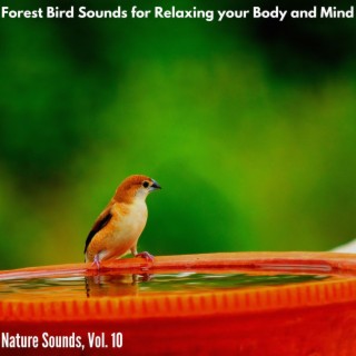 Forest Bird Sounds for Relaxing your Body and Mind - Nature Sounds, Vol. 10