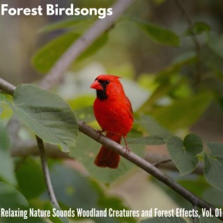 Forest Birdsongs - Relaxing Nature Sounds Woodland Creatures and Forest Effects, Vol. 01