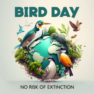 Bird Day: No Risk Of Extinction