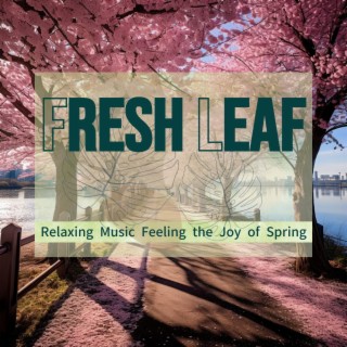 Relaxing Music Feeling the Joy of Spring