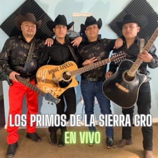 Los Primos De La Sierra GRO (En vivo)