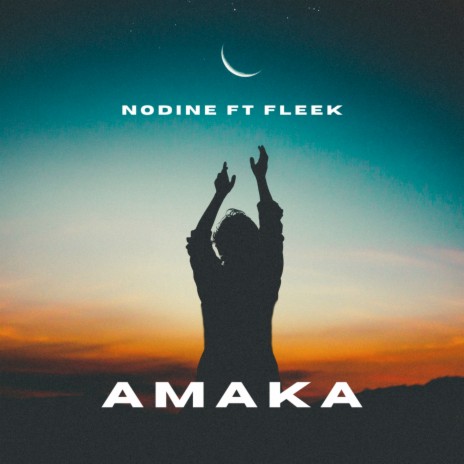 Amaka ft. Fleek | Boomplay Music
