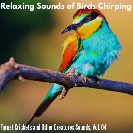 Amusing Birdsongs | Boomplay Music