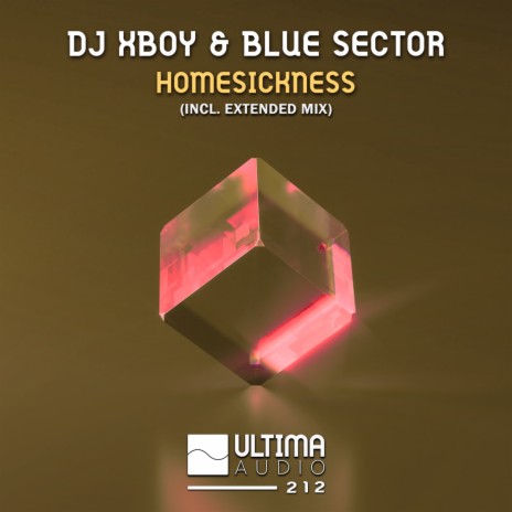 Homesickness (Extended Mix) ft. Blue Sector | Boomplay Music